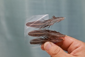 feather hopper wings