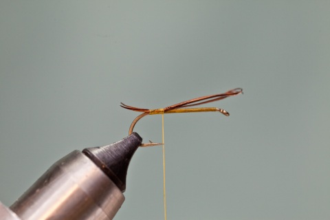 tying in tail for green machine fly